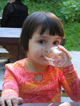 IMG 0073