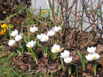 IMG_1012.JPG