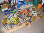 A spring bulb collection, ready to plant