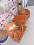 We'll put some of the bulbs in containers to bring indoors in January - March