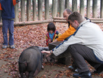 IMG 3683