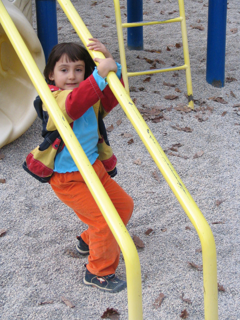 IMG 3734