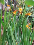 IMG_0558.JPG