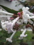 IMG_0564.JPG