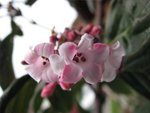 IMG_0567.JPG