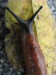 IMG_0569.JPG