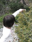 IMG_1752.JPG