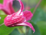IMG_2056.JPG