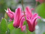 IMG_2062.JPG