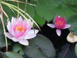 IMG_2201.JPG
