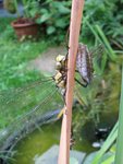 IMG_0120.JPG