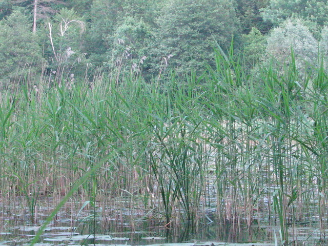 IMG_3831.JPG