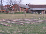 IMG_3153.JPG