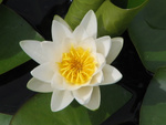 Macro 2