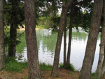 Blo�ko jezero, ki spominja na pohorsko Črno jezero