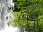 IMG 0308