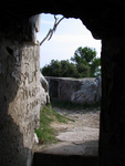 IMG 3454