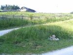 IMG 0267