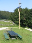 IMG 0271