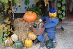 DSC_0470.JPG