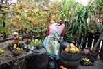 DSC_0472.JPG