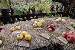 DSC_0492.JPG