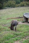 DSC_0521.JPG
