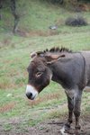DSC_0522.JPG