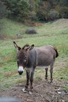 DSC_0524.JPG