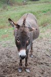 DSC_0527.JPG