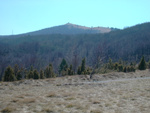 Slavnik 008