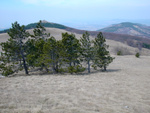 Slavnik 011