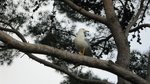 IMG_0906.JPG