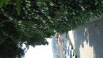 IMG_1010.JPG