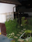 IMG 0175