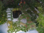 Hailstorm!
The shade bed took most of the damage and had to be tidied and re-mulched ahead of time.