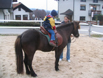 IMG 1951