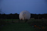 DSC_0076.JPG