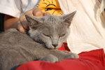 DSC_0090.JPG