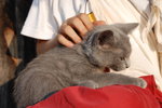 DSC_0091.JPG