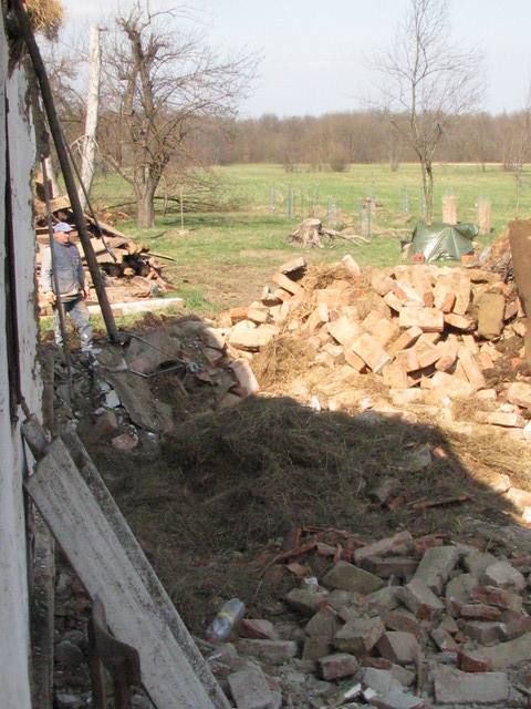 IMG_3129.JPG