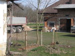 IMG_3132.JPG