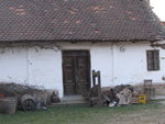 IMG_3172.JPG