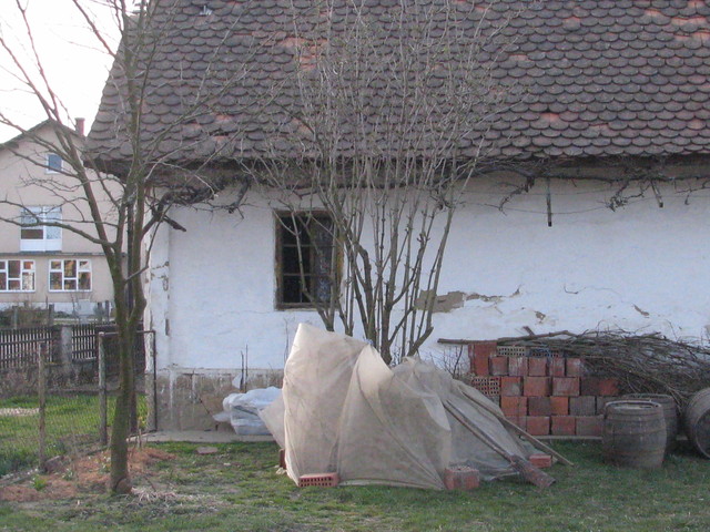 IMG_3173.JPG