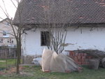 IMG_3173.JPG