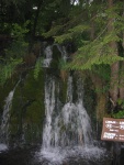 IMG 0009