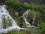IMG 0015