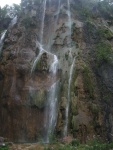 IMG 0018