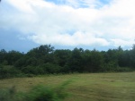 IMG 0030