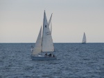 IMG_0563.JPG